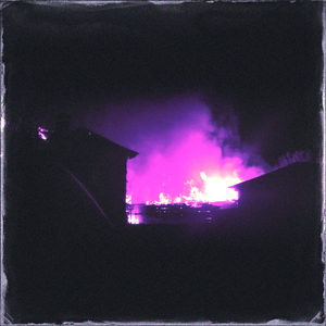 西西大胆444www高清
