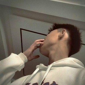 西西大胆444www高清
