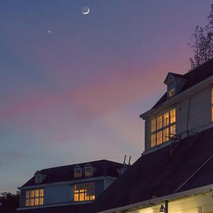 西西大胆444www高清
