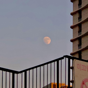 西西大胆444www高清
