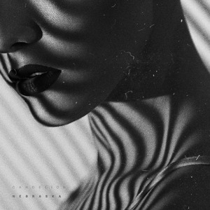 西西大胆444www高清
